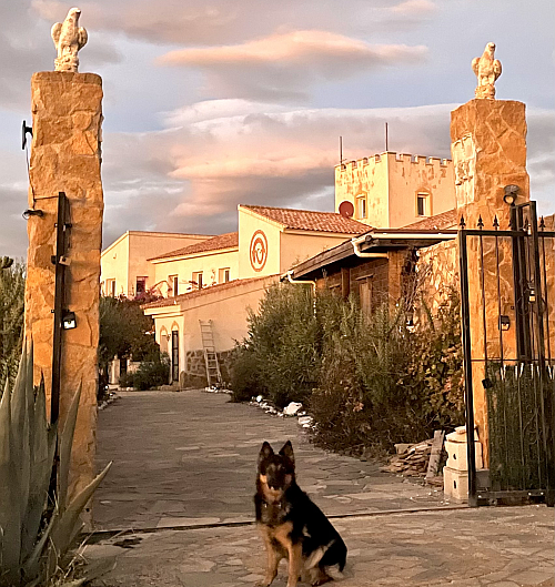 4. Lebensort Cortijo 'Campico Caceres', Andalusien